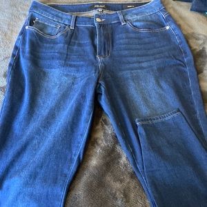 Womens Judy Blue plus size jeans
